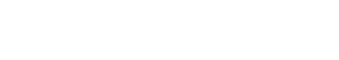 Logo 9