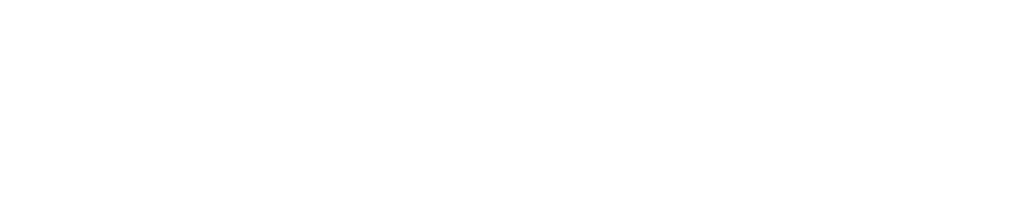 Logo 13